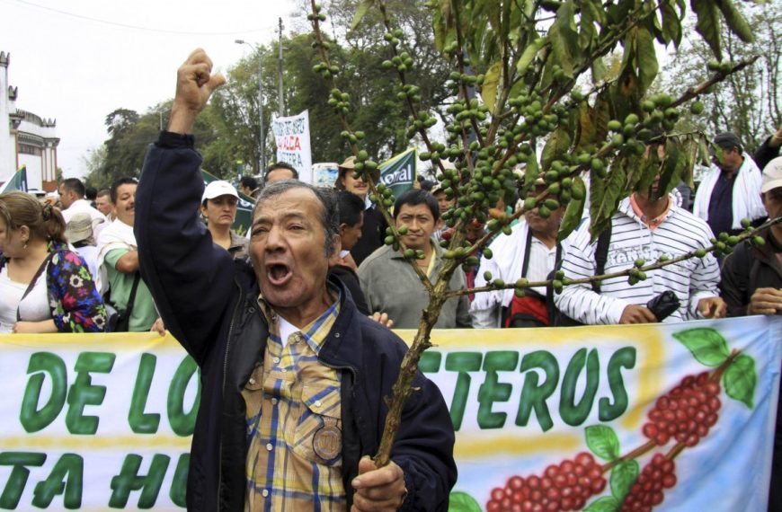 Verso la mobilitazione del 29 Gennaio contro la crisi: giù le mani dai semi e dal patrimonio agrobiologico