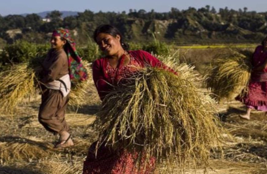 LOTTO (marzo) per la TERRA. Il forum sulle donne contadine