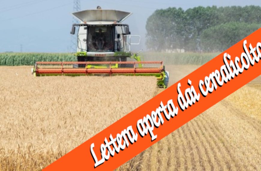 Prima della trebbiatura, la lettera alle istituzioni dai cerealicoltori.