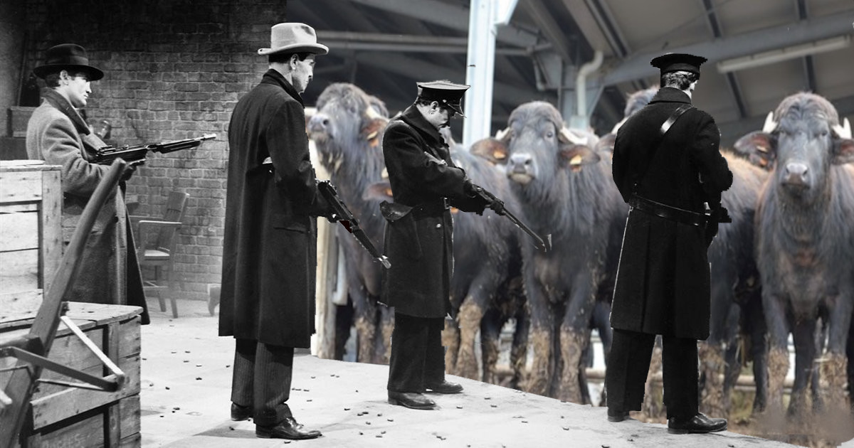 la-strage-delle-bufale