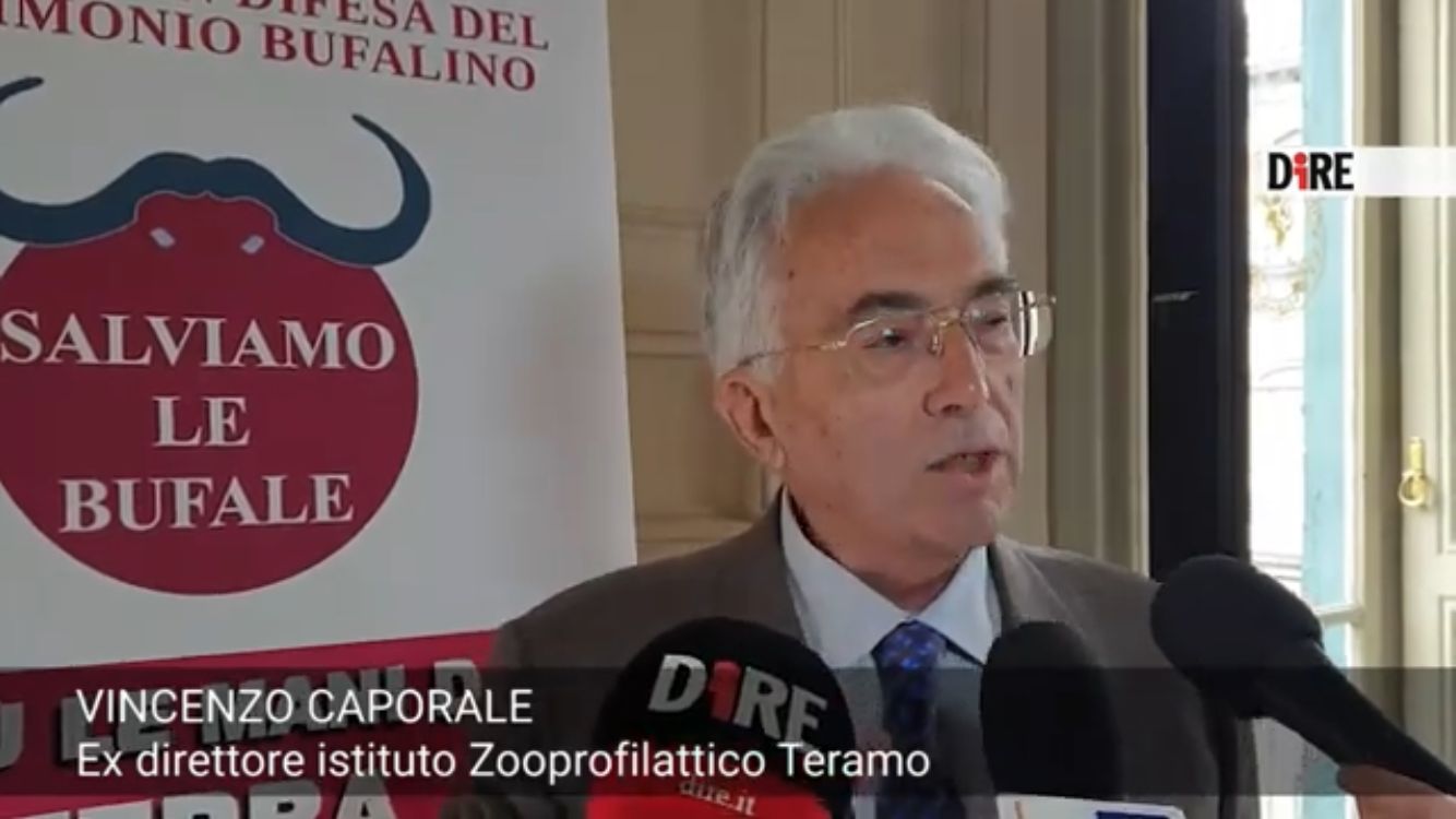 WhatsApp Image 2022-05-07 at 19.42.08 (1)