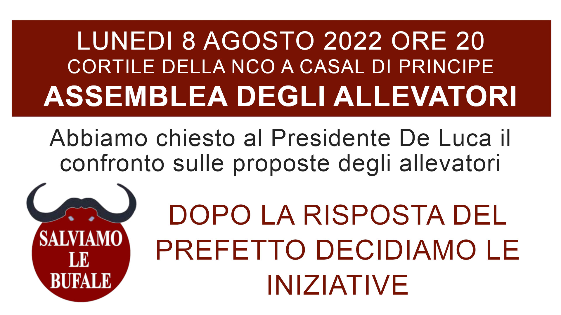 Dall'inizio dell'anno 13.000 animali ammazzati. Pronti alla risposta fino al 25 settembre LOCANDINA_8.8.22