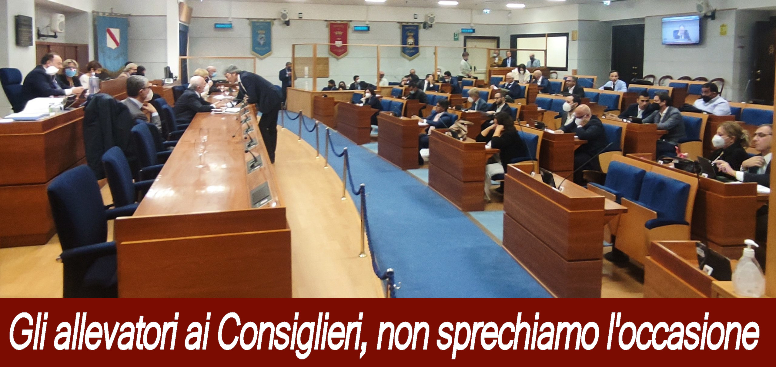 Gli allevatori ai Consiglieri Regionali: non sprechiamo l'occasione