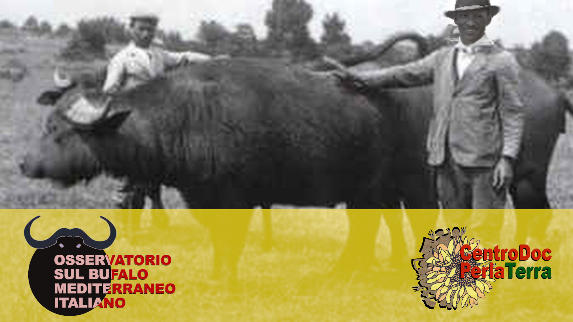 Senzanomebanner-osservatorio-bufale