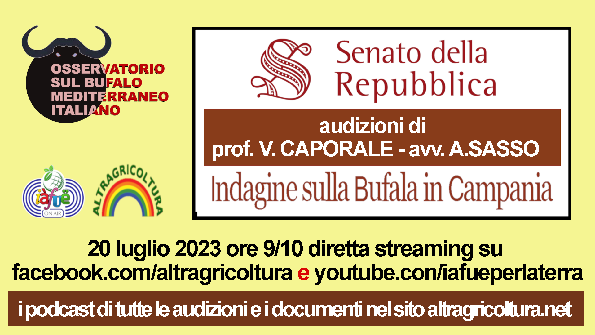 Il prof. Caporale e l'Avv. Sasso auditi al Senato. locandina.audizione.20.7.23