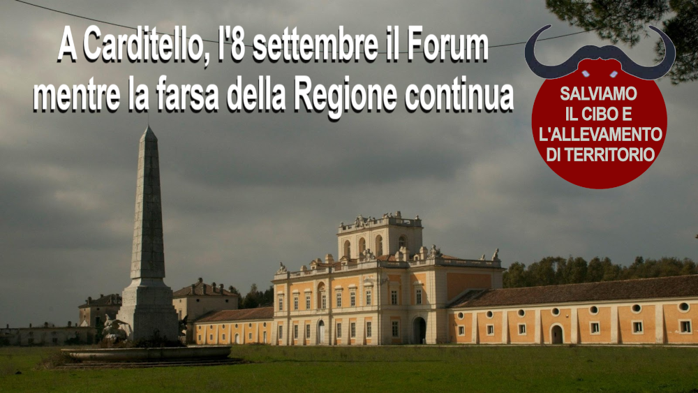 a-cardiello-il-forum_1000x