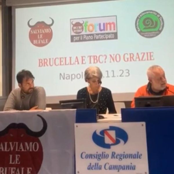 Non ci si può fidare dei loro numeri. Chiediamo la verifica super partes come primo atto del Commissario Nazionale