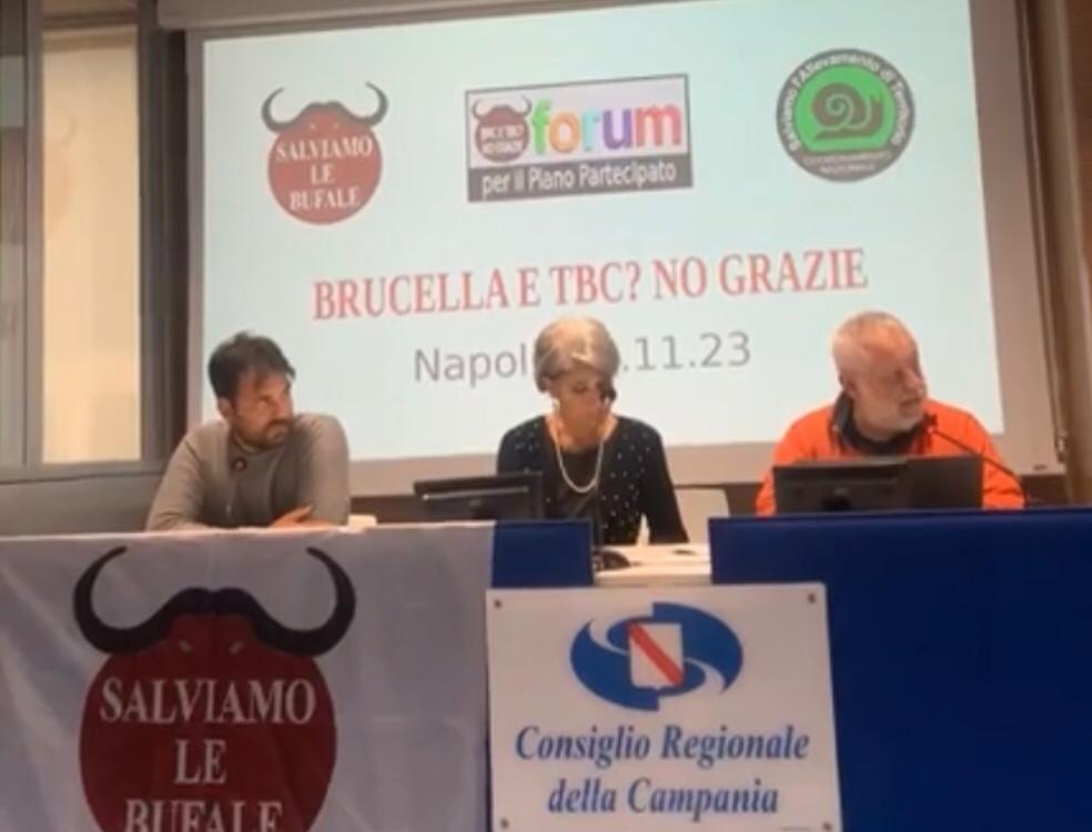 8eb719ab-3f02-413a-9c91-bc799ec7b5e8