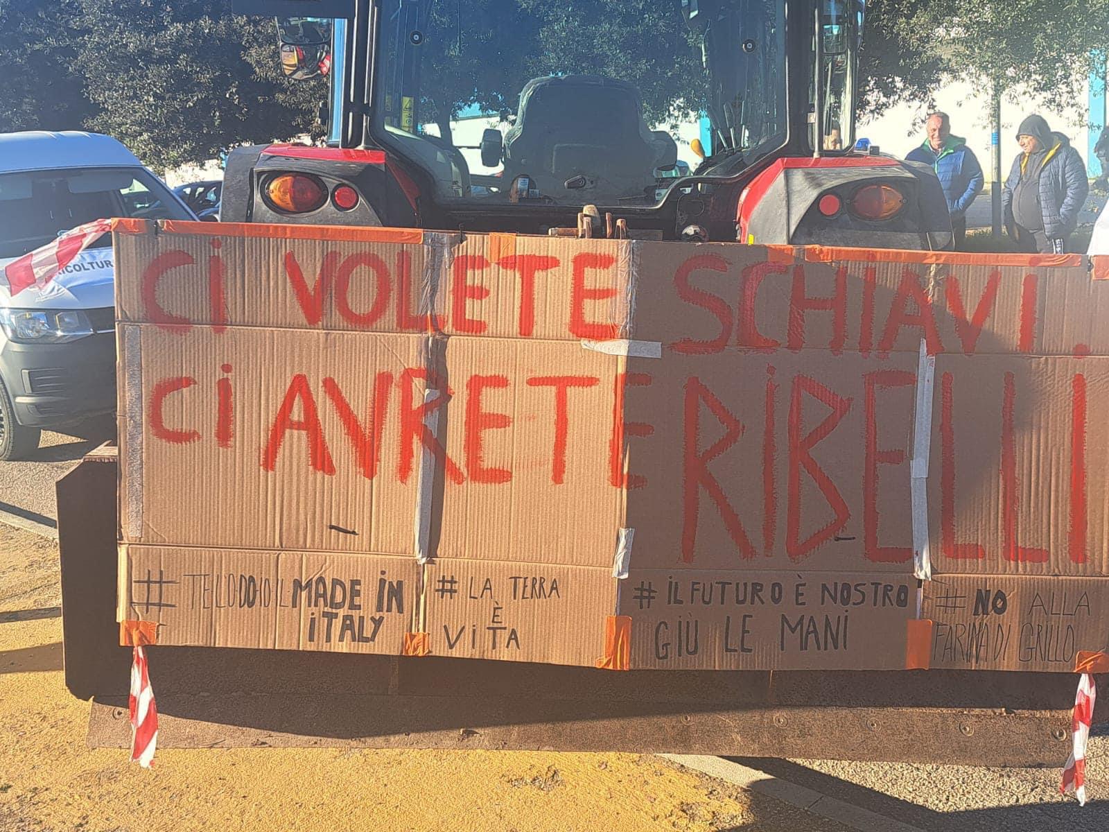 ribelli
