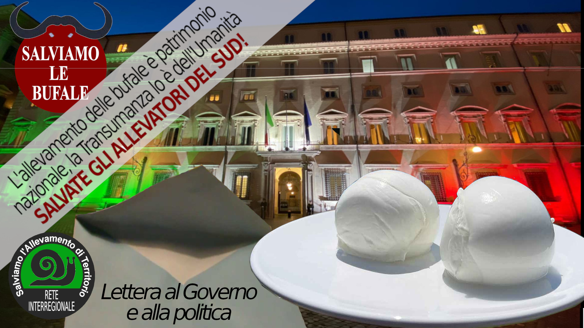 lettera-alla-politica-con-mozzarelle