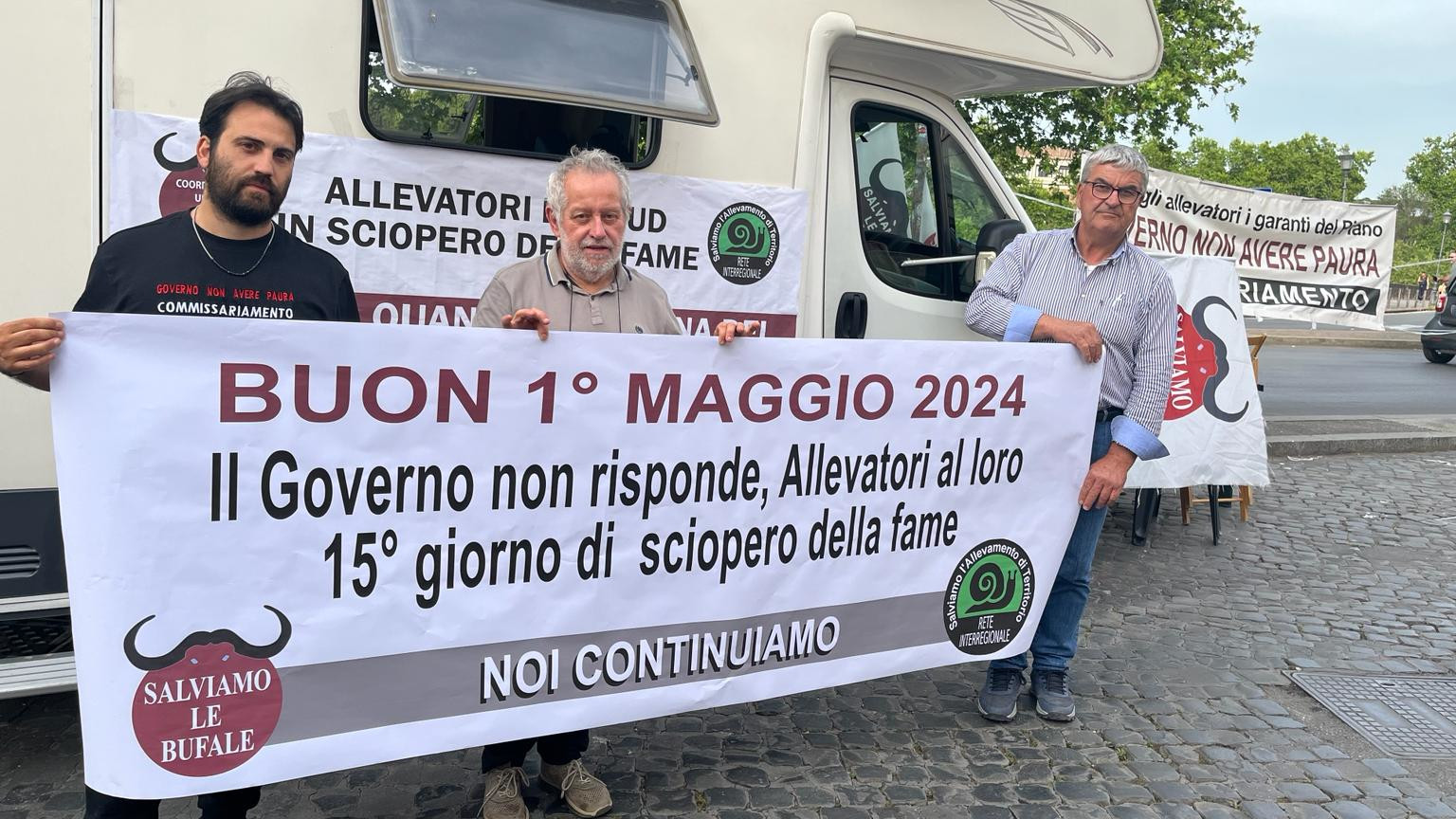 CREATOR: gd-jpeg v1.0 (using IJG JPEG v90), quality = 82