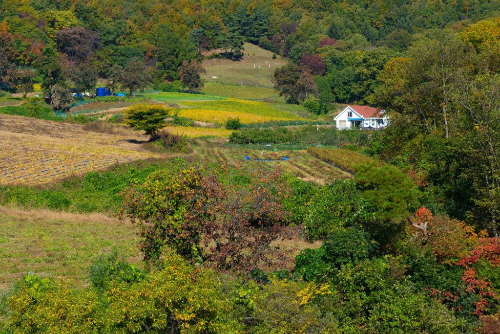 chulmin-park-from-Pixabay1-1024x683