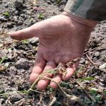 Altragricoltura, Sifus, il Coordinamento Agroecologia e Le Partite Iva Italia intervengono sulla crisi idrica in Sicilia Altragricoltura, Sifus, il Coordinamento Agroecologia e Le Partite Iva Italia intervengono sulla crisi idrica in Sicilia