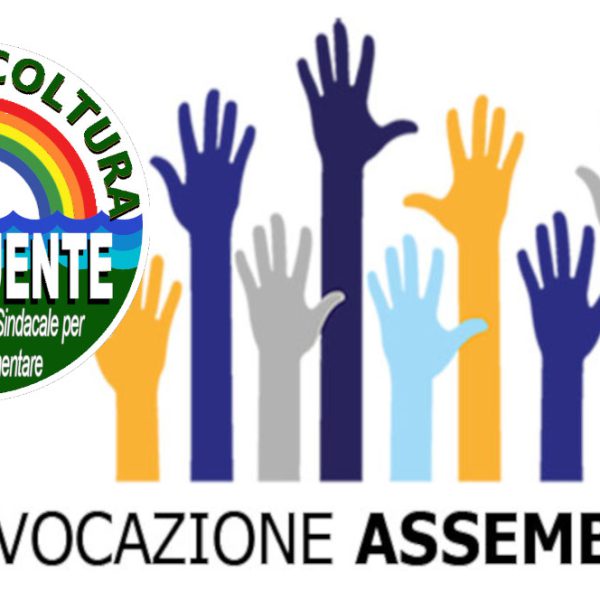 La convocazione dell’Assemblea Costituente dalla Presidenza Nazionale