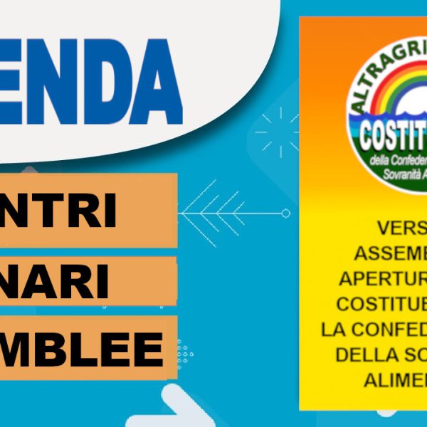 L’Agenda verso l’Assemblea