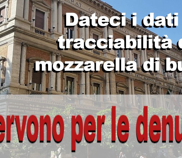 Mobilitazione prezzo del latte. Incontro allevatori a Casal di Principe con i caseifici. Chiesti i dati sulla tracciabilità