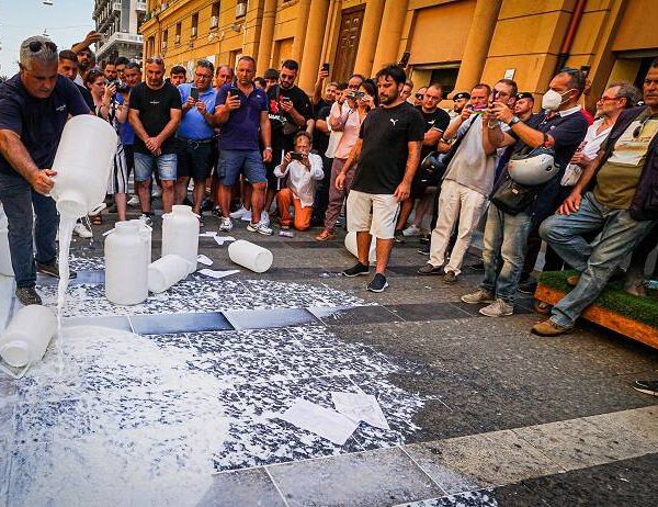 TELODOIOILPREZZODELLATTE. Al via la mobilitazione per difendere la mozzarella di bufala.