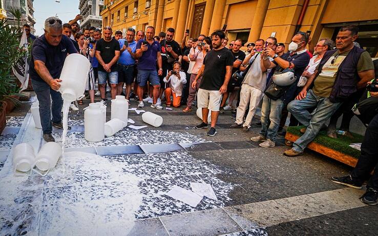 TELODOIOILPREZZODELLATTE. Al via la mobilitazione per difendere la mozzarella di bufala.