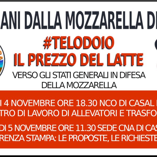 Verso gli stati generali in Difesa della Mozzarella di Bufala. Il 4 incontro di lavoro. Il 5 conferenza stampa