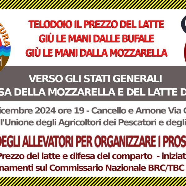 Il latte, la mozzarella e le bufale ancora sotto attacco. La nostra risposta di fine anno.