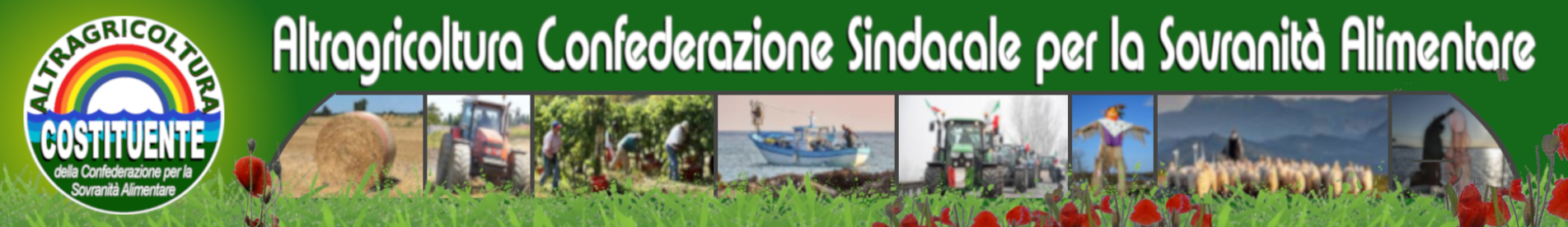 cropped-testata_2025_griglia_papaveri_1872x276.png