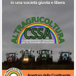 statuto-2025-editato_copertina_500x