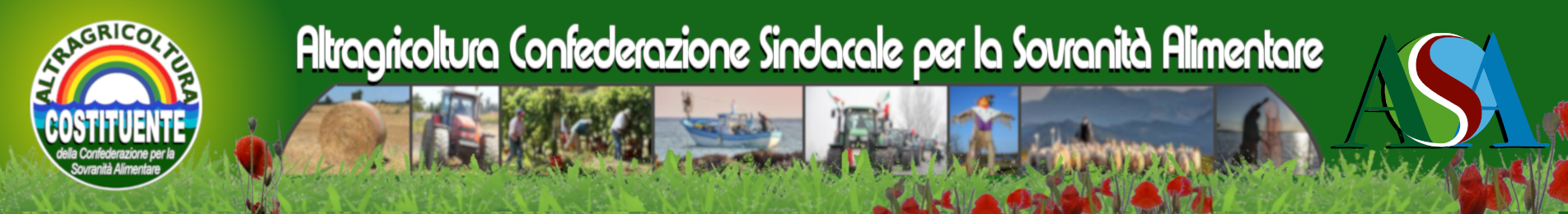 testata_2025_portale_1903x260