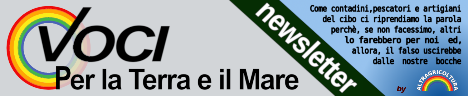 testata-newsletter2