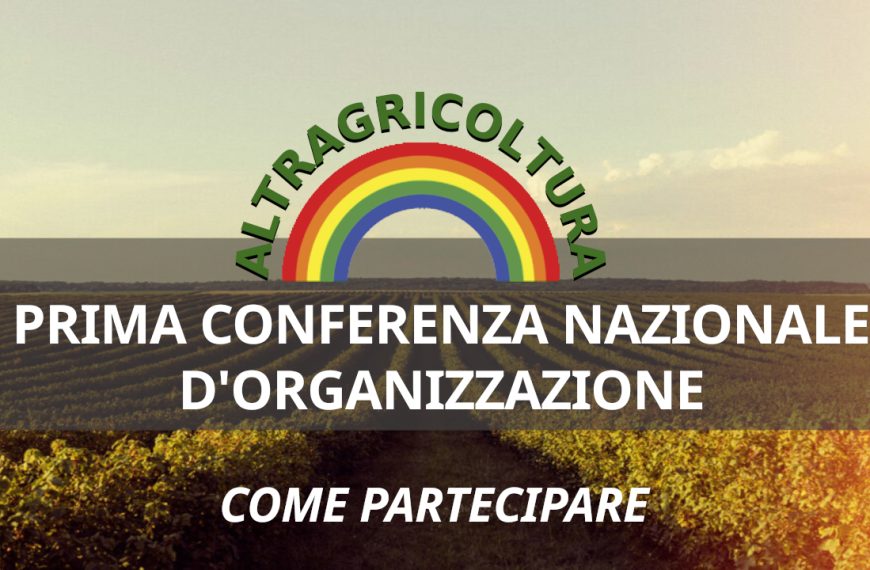 Come partecipare