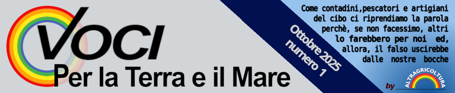 La condizione dei pescatori e il progetto nuovo testata-newsletter_ottobre-2025
