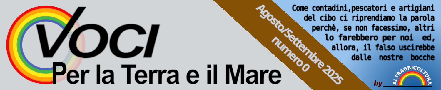 testata-newsletter_settembre-2025