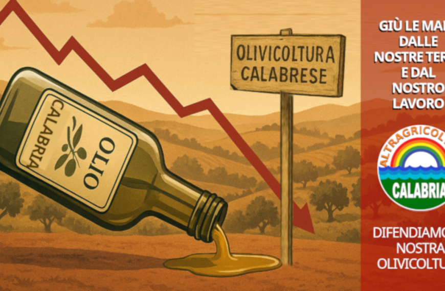 Altragricoltura Calabria. L’allarme di Luana Guzzetti olivicoltrice calabrese