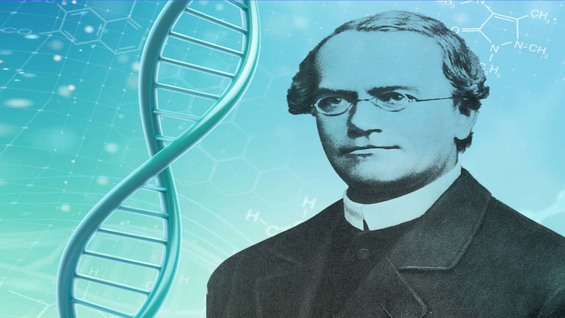 mendel