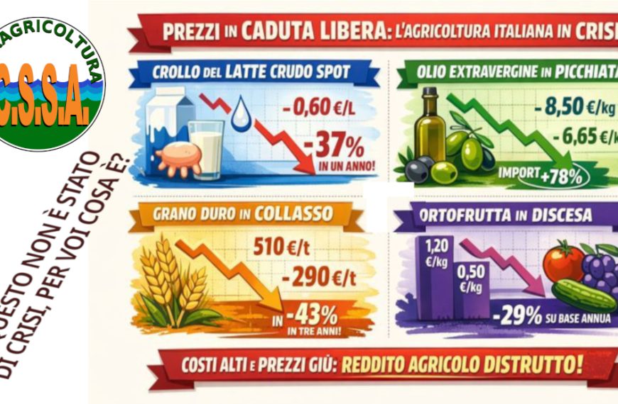 È sempre più Stato di Crisi, le istituzioni non possono ignorarlo. È ora che il Paese reagisca.