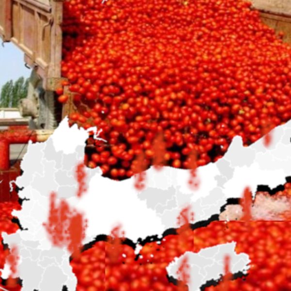 Dalla Cina all’Egitto: l’Import di pomodoro a basso costo cambia faccia