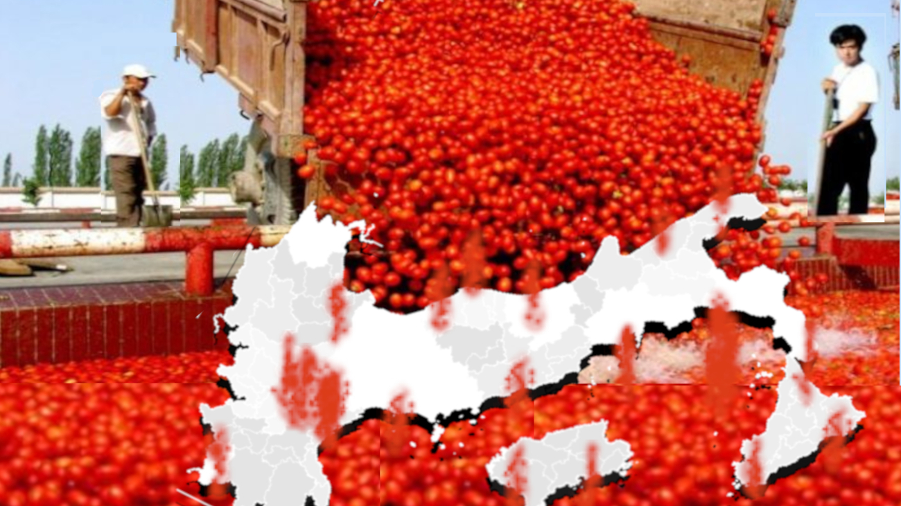 Dalla Cina all’Egitto: l’Import di pomodoro a&hellip;