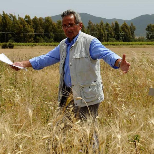 L’agricoltura ha bisogno di scienza. Quale scienza? La riflessione del Genetista Ceccarelli