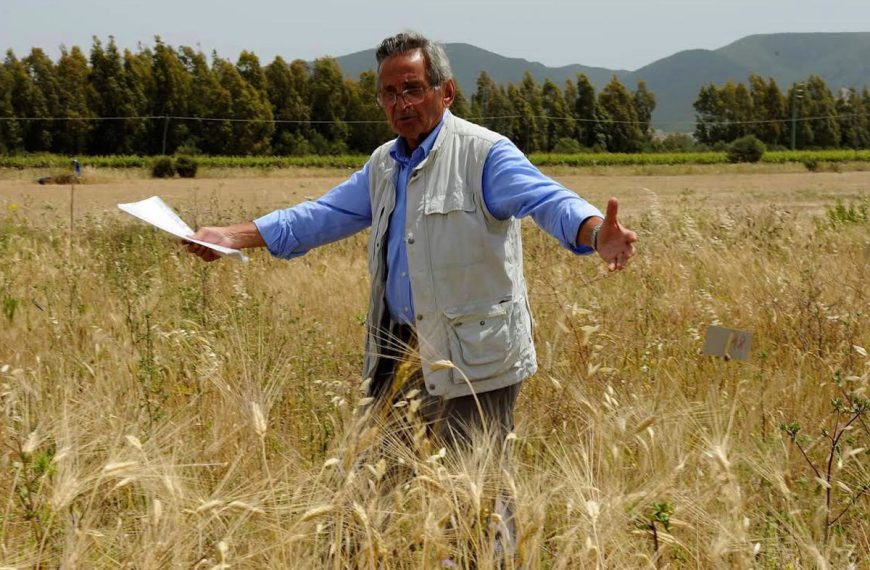 L’agricoltura ha bisogno di scienza. Quale scienza? La riflessione del Genetista Ceccarelli