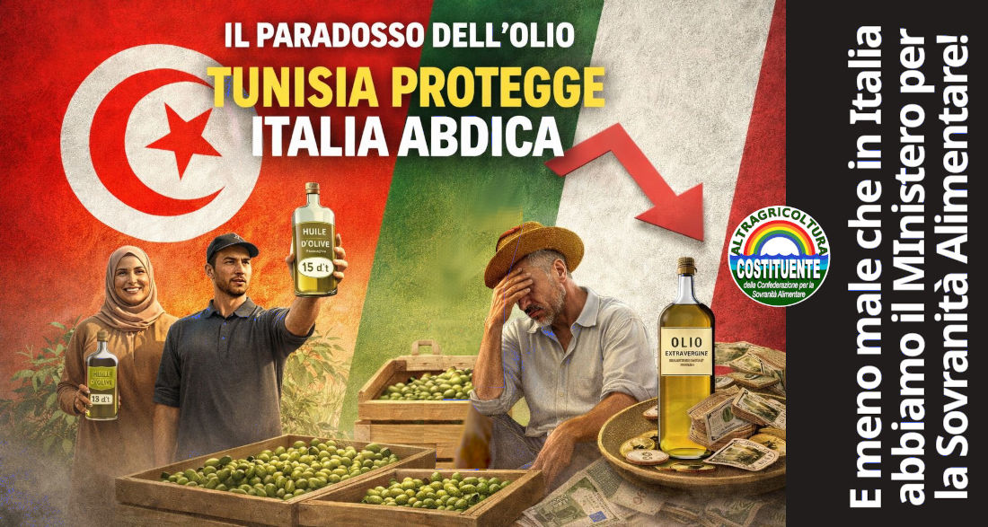 testata-articolo-oliotunisino_100x