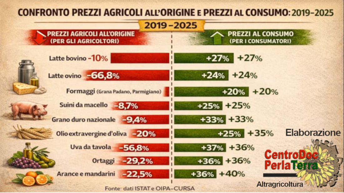 testata_articolo_crisi-alimentare-italia_1100x