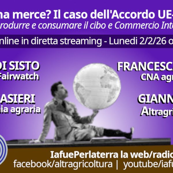 IL cibo è una merce? Il Caso dell’accrodo UE-Mercosur. Forum online il 2 febbraio