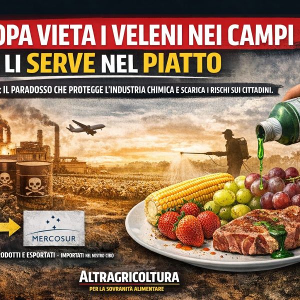 L’Europa vieta i veleni nei campi ma li serve nel piatto. L’accordo con il Mercosur favorisce l’industria chimica