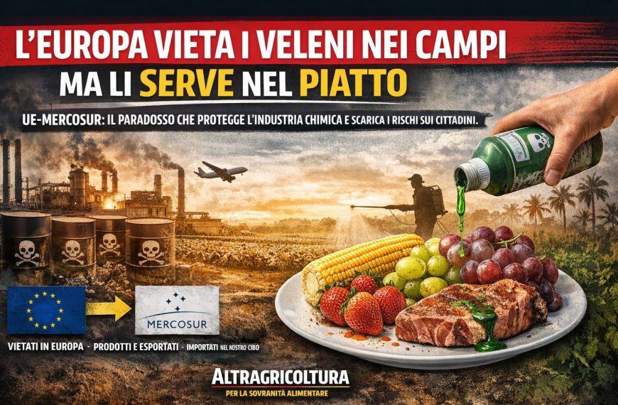 L’Europa vieta i veleni nei campi ma li serve nel piatto. L’accordo con il Mercosur favorisce l’industria chimica
