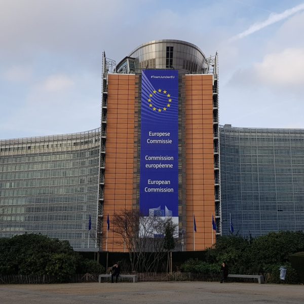 Denuncia di Via Campesina Europa: aggirate regole su importazioni dal Marocco e democrazia.