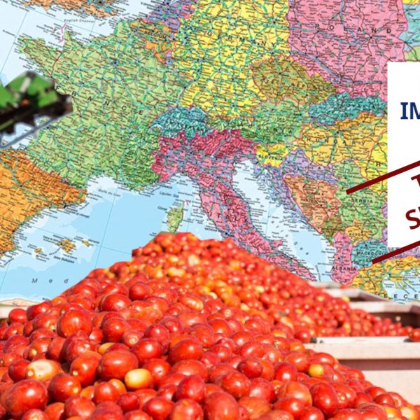 Pomodori senza numeri, accordi senza verità: così l’Europa smantella la sovranità alimentare