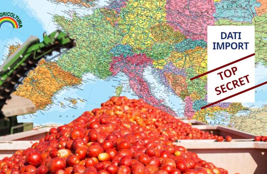 Pomodori senza numeri, accordi senza verità: così l’Europa smantella la sovranità alimentare