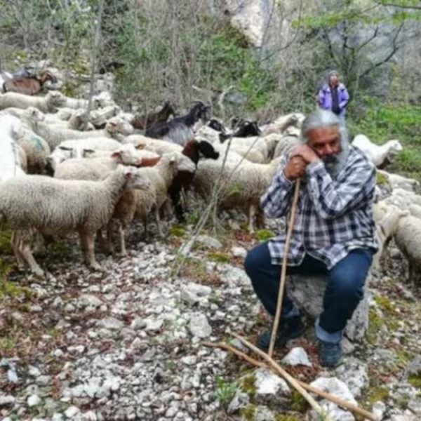 Nunzio Marcelli: la pastorizia non ha più santi in Paradiso. Appello alle istituzioni e alla società