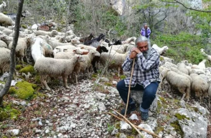 Nunzio Marcelli: la pastorizia non ha più santi in Paradiso. Appello alle istituzioni e alla società