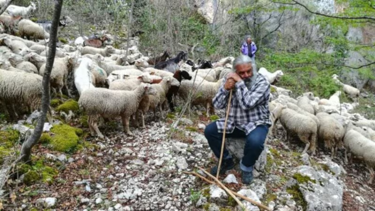Nunzio Marcelli: la pastorizia non ha&hellip;