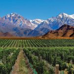 argentina-wine-country_orig